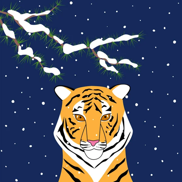 Tiger at night in snowfall. Symbol of the Chinese lunar new year. — Stock Vector