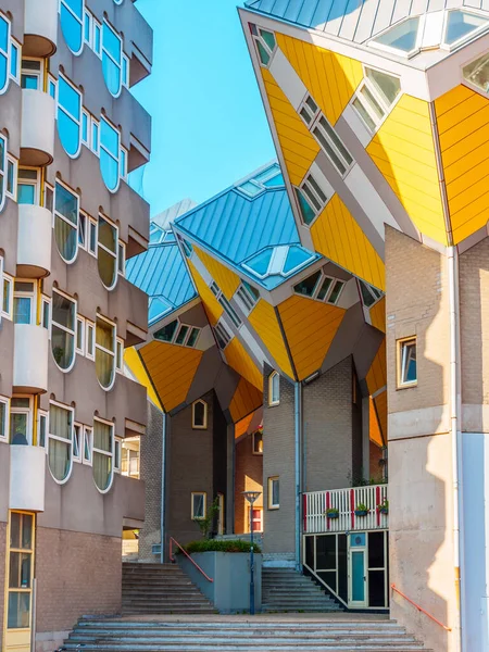 Rotterdam Gele Huizen Het Centrum — Stockfoto