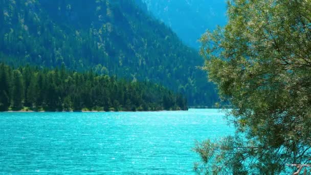 Λίμνη Στην Αυστρία Βουνά Και Δάση — Αρχείο Βίντεο