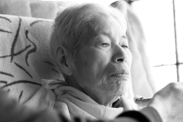Ältere Frauen Erhalten Essenshilfe Altenpflege — Stockfoto