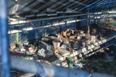 Bozuk saksıları, çöpleri ve ölü bitkileri olan terk edilmiş yeşil bir ev.