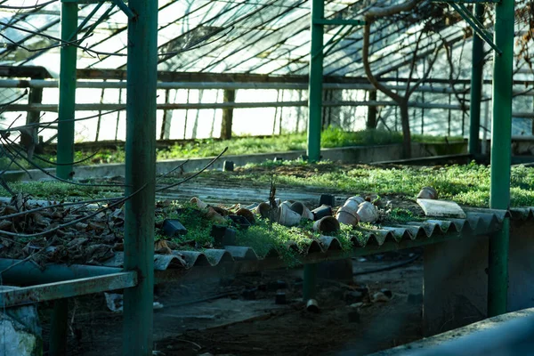 废弃的绿屋 有破碎的罐子 垃圾和枯死的植物 — 图库照片