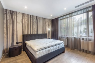 Cozy bedroom in bright colors with a large window and a painted wall at the head of the bed.