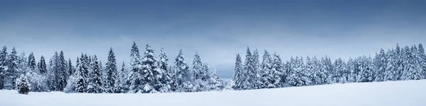 Piękny widok na las po opadach śniegu — Zdjęcie stockowe