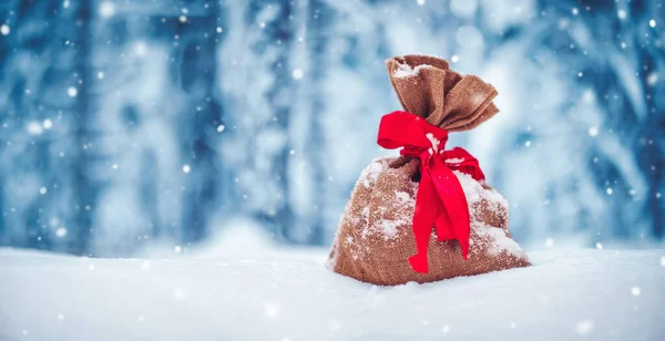 Bolsa de regalo que yace sobre la nieve fresca en invierno en el bosque — Foto de Stock