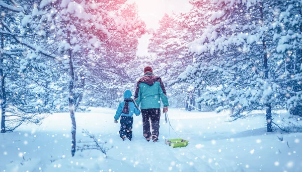 Père et son fils marchant dans la forêt enneigée d'hiver — Photo
