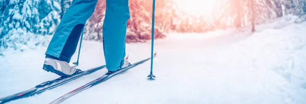 Pés de esqui em esquis na floresta nevada de inverno — Fotografia de Stock