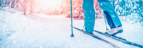 Pés de esqui em esquis na floresta nevada de inverno — Fotografia de Stock