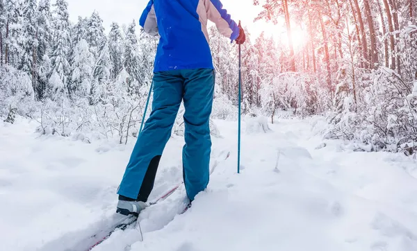 Pés de esqui em esquis na floresta nevada de inverno — Fotografia de Stock