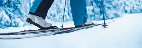 Pieds de skieur dans les skis dans la forêt enneigée d'hiver — Photo