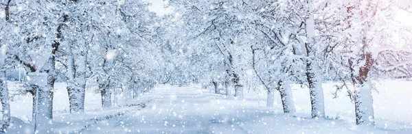 Road covered by snow in snowy morning in snowfall. — Stock Photo, Image