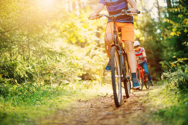 Children on a bicycles in the forest in early morning. — Stockfoto
