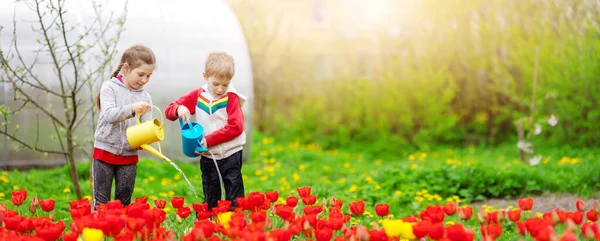 Dvě roztomilé děti zalévání květiny na zahradě — Stock fotografie