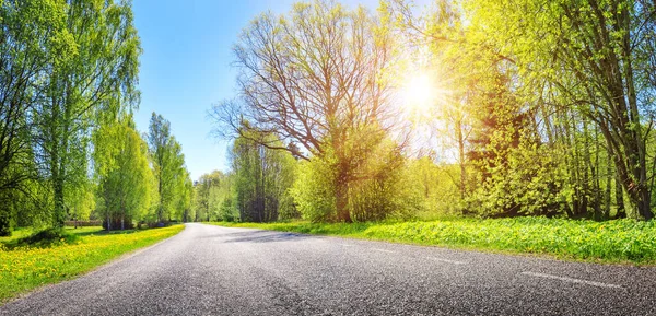 Panorama de estrada de asfalto no campo no dia ensolarado no verão. — Fotografia de Stock