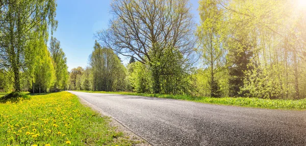 Asphalt road panorama en el campo en el día soleado en verano. — Foto de Stock
