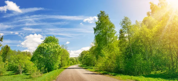 Panoramic view of the empty road in natural park. —  Fotos de Stock