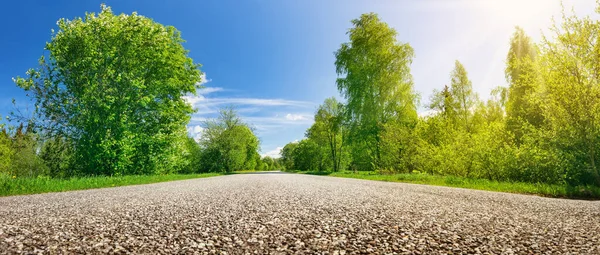 Close-up panoramic view of the asphalt highway in natural park. — стоковое фото