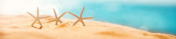Starfishes on the beach sand in summer — Fotografia de Stock