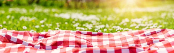 Vista da vicino del piumone da picnic sul prato con erba verde e fiori primaverili. — Foto Stock