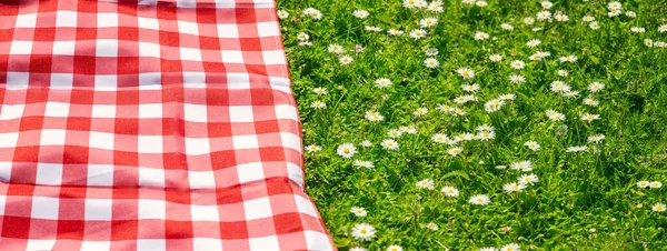 Picknickdecke auf der Wiese mit grünem Gras und Frühlingsblumen — Stockfoto