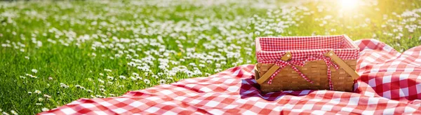 Piknikowa kołdra z pustym koszykiem na łące w naturze. — Zdjęcie stockowe