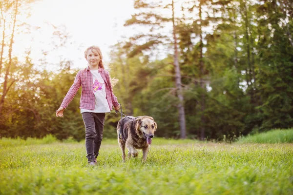 Child Walking Dog Nature Girl Pet Outdoors Summer — Fotografia de Stock