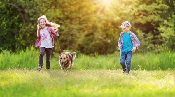 Children Walking Dog Nature Boy Girl Pet Outdoors Summer — Foto de Stock