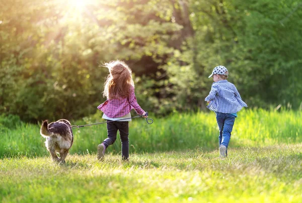 Children Walking Dog Nature Boy Girl Pet Outdoors Summer — Stockfoto
