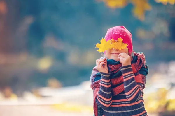 Happy Child Hiding His Eyes Maple Leaves Beautiful View Autumnal — Fotografia de Stock