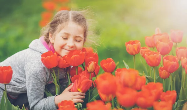 Roztomilá Holka Sbírá Červené Tulipány Kytici Zahradě Batole Užívá Snaží — Stock fotografie