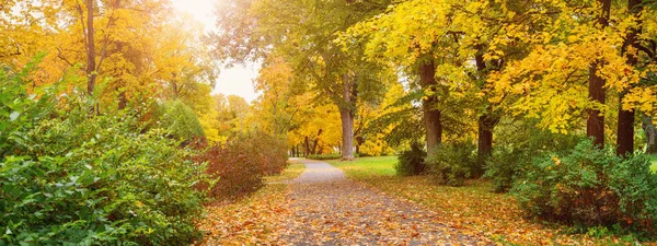 Beautiful Autumnal Park Footpath Covering Leaves Panorama Colourful Trees Natural — Zdjęcie stockowe