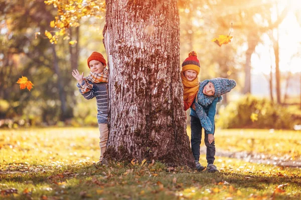 Group Children Hiding Tree Trunk Concept Friendship Family Vacation — 스톡 사진