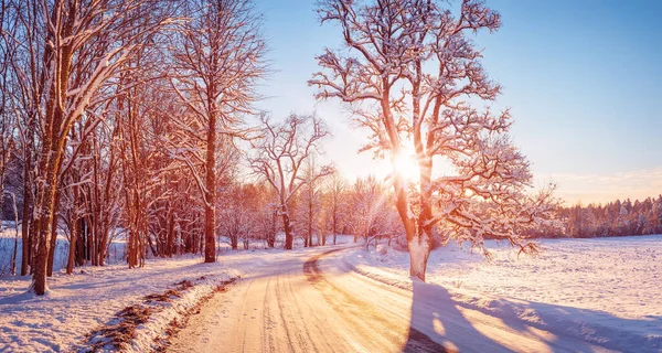 Schöne Aussicht Auf Den Sonnenaufgang Morgen Auf Der Verschneiten Landstraße — Stockfoto