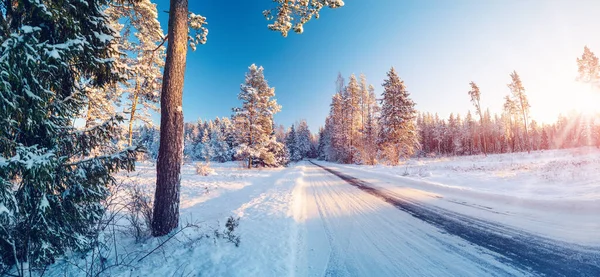 Hermoso Camino Invierno Parque Natural Soleado Vista Panorámica Calle Nevada —  Fotos de Stock