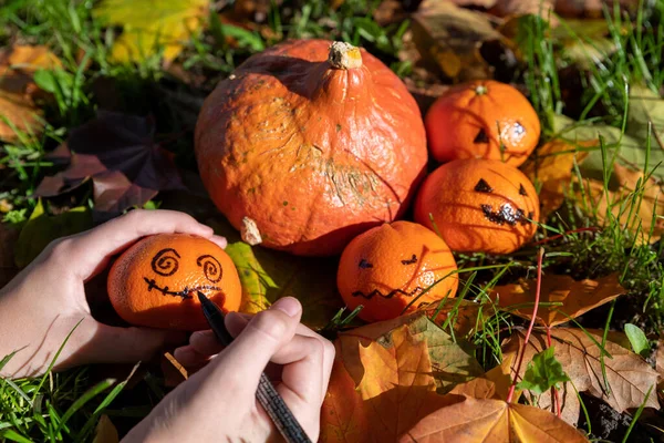 Dziecko Malowane Dekoracji Ogrodu Jesienią Halloween Czasu Wysokiej Jakości Zdjęcie — Zdjęcie stockowe