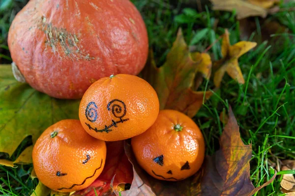 halloween decoration in the garden in autumn. High quality photo