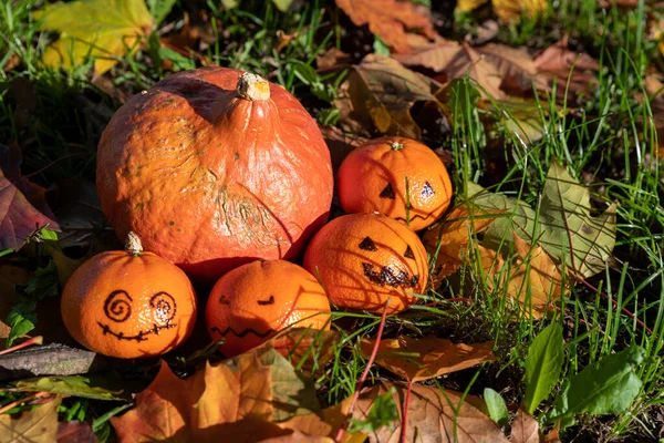 Halloween decoration and ideas for the garden in autumn und halloween time. Sunshine in October.