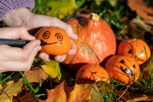 Dziecko Malowane Dekoracji Ogrodu Jesienią Halloween Czasu Wysokiej Jakości Zdjęcie — Zdjęcie stockowe