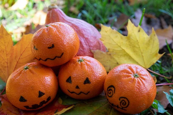 Jesień Ogrodzie Czas Halloween Klementynki Jako Dynie Wysokiej Jakości Zdjęcie — Zdjęcie stockowe
