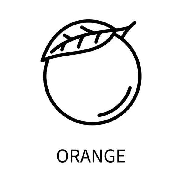 Εικόνα γραμμής πορτοκαλί σε απλό στυλ. Διάνυσμα υπογράψει σε ένα απλό στυλ που απομονώνονται σε λευκό φόντο. — Διανυσματικό Αρχείο