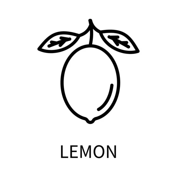 Basit bir şekilde Simge Limonu satırı. Beyaz arkaplanda izole edilmiş basit bir biçimdeki vektör işareti. — Stok Vektör