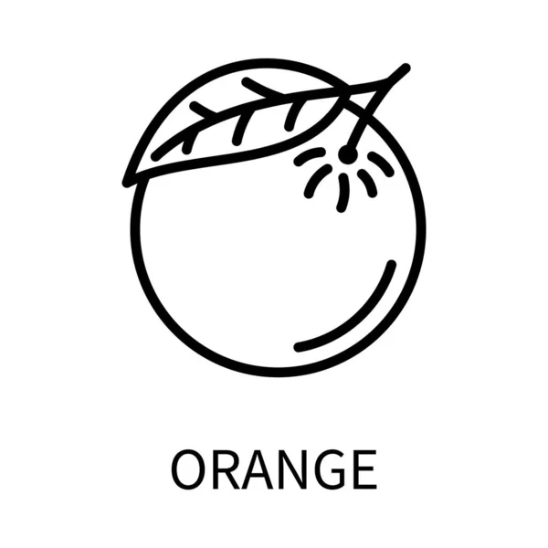 Εικόνα γραμμής πορτοκαλί σε απλό στυλ. Διάνυσμα υπογράψει σε ένα απλό στυλ που απομονώνονται σε λευκό φόντο. — Διανυσματικό Αρχείο