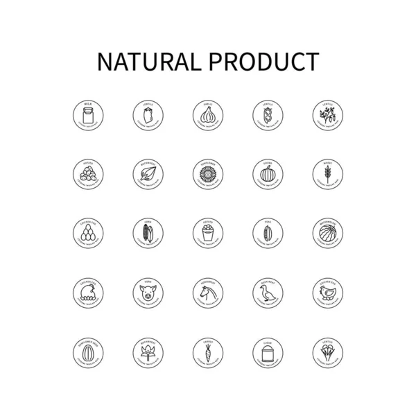 Conjunto simple de iconos vectoriales sobre el tema Productos naturales. Leche, Ajo, Carne, Lentejas, Girasol, Calabaza, Maíz, Patatas, Harina, Zanahorias, Huevos, Semillas y otros se representan. Vector de signo en un simple — Vector de stock