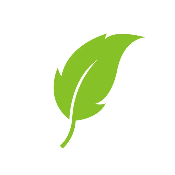 Folha Verde Emblema Original Ecologia Ilustração — Fotografia de Stock