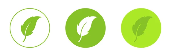 Foglia Verde Set Icone Emblema Originale Dell Ecologia Illustrazione — Foto Stock