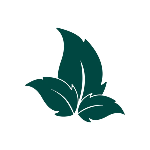 Green Leaf Logos Nature Ecology Concept Illustration — Stock Photo, Image
