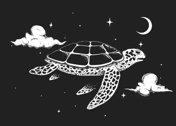 乌龟在夜空中飞翔 — 图库矢量图片
