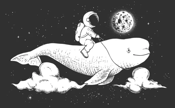 우주비행사 이자 흰돌고래 — 스톡 벡터