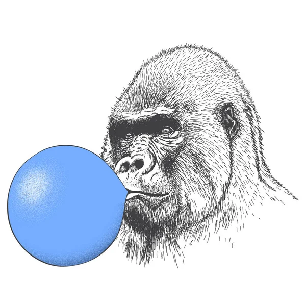Gorila infla uma pastilha elástica — Vetor de Stock