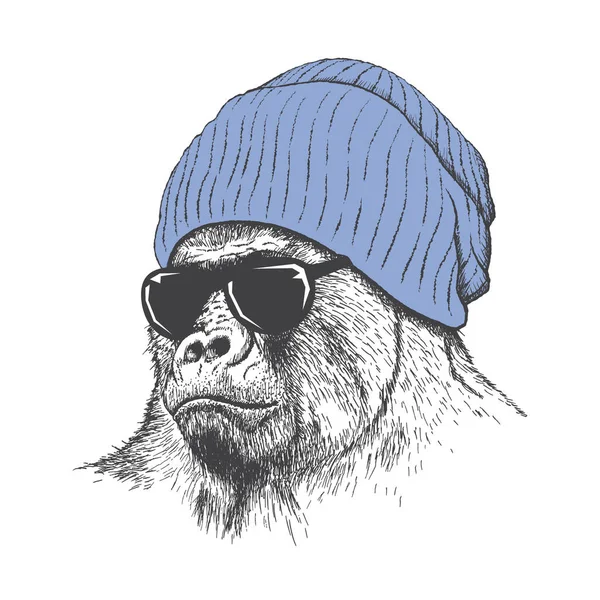 Gorila Moderno Vestido Chapéu Óculos Sol Ilustração Vetorial —  Vetores de Stock
